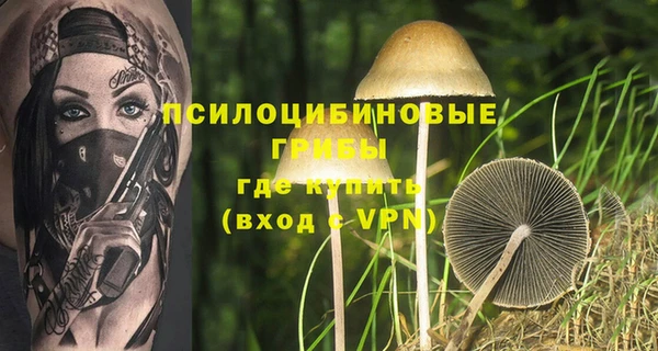 мдма Козельск