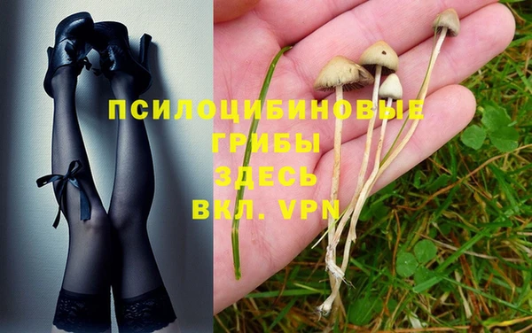 мдма Козельск