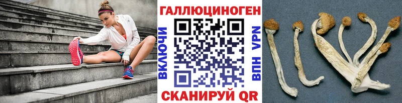 Псилоцибиновые грибы Cubensis  Купить где  Йошкар-Ола 