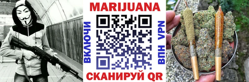 Каннабис план Йошкар-Ола