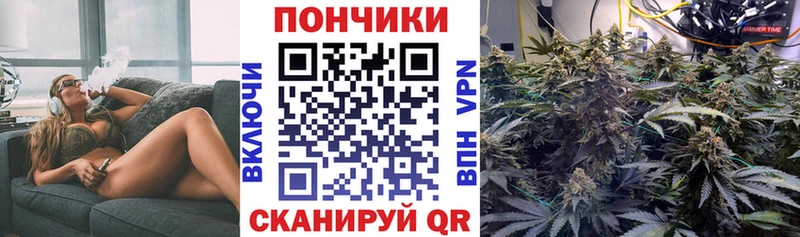 Шишки марихуана семена  Купить где  Йошкар-Ола 